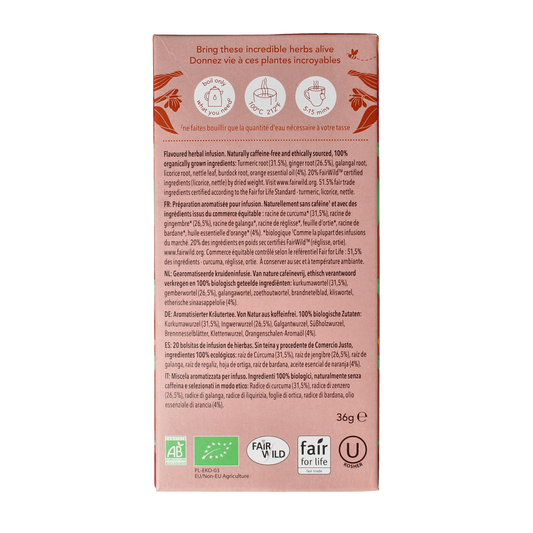 Pukka Tumeric active tea bio 20.00 Zakjes