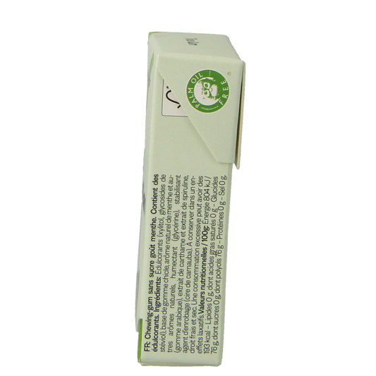 True Gum Mint suikervrij 21.00 Gram