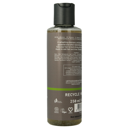 Urtekram Shampoo rozemarijn 250.00 Milliliter