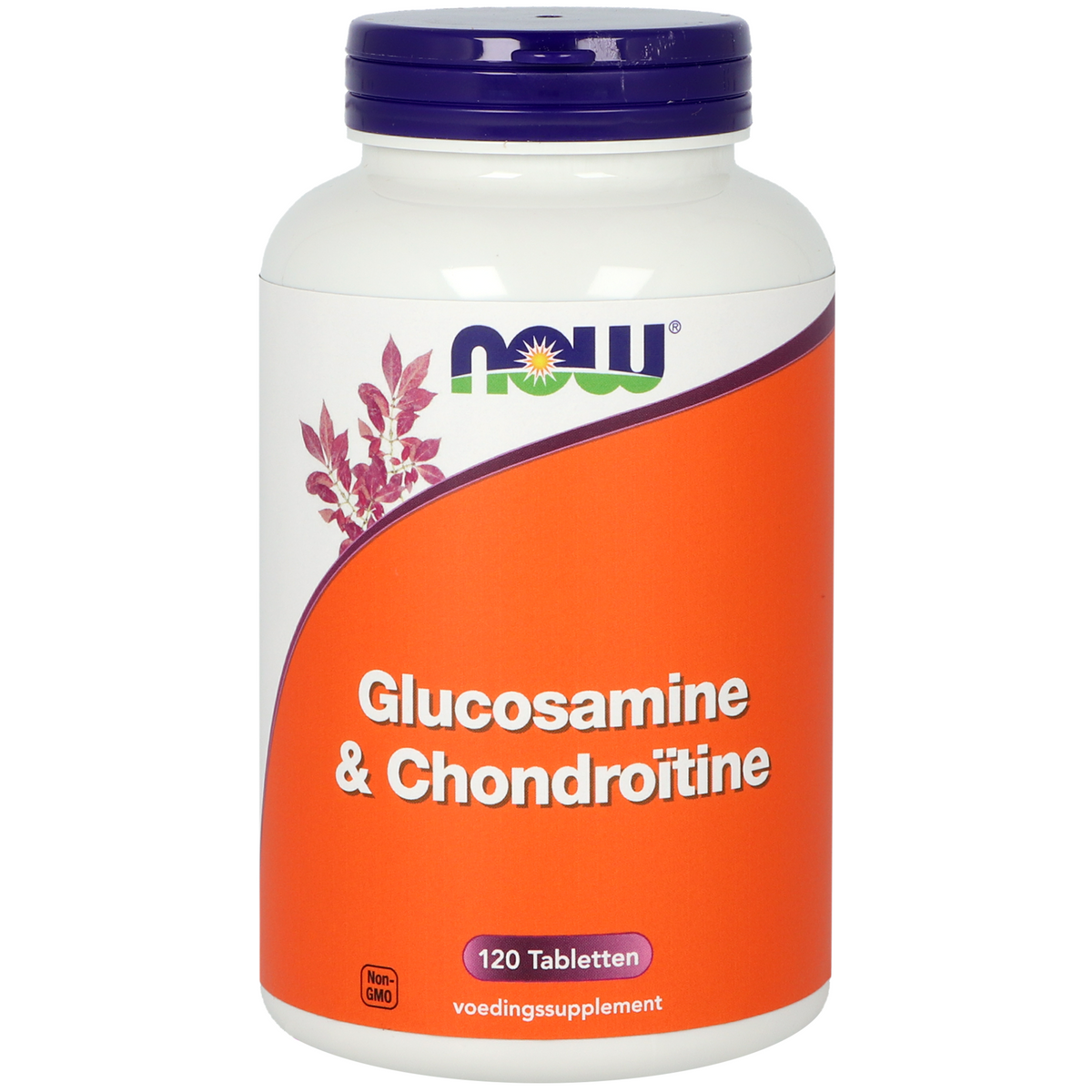 NOW Glucosamine & chondroitine 120.00 Tabletten