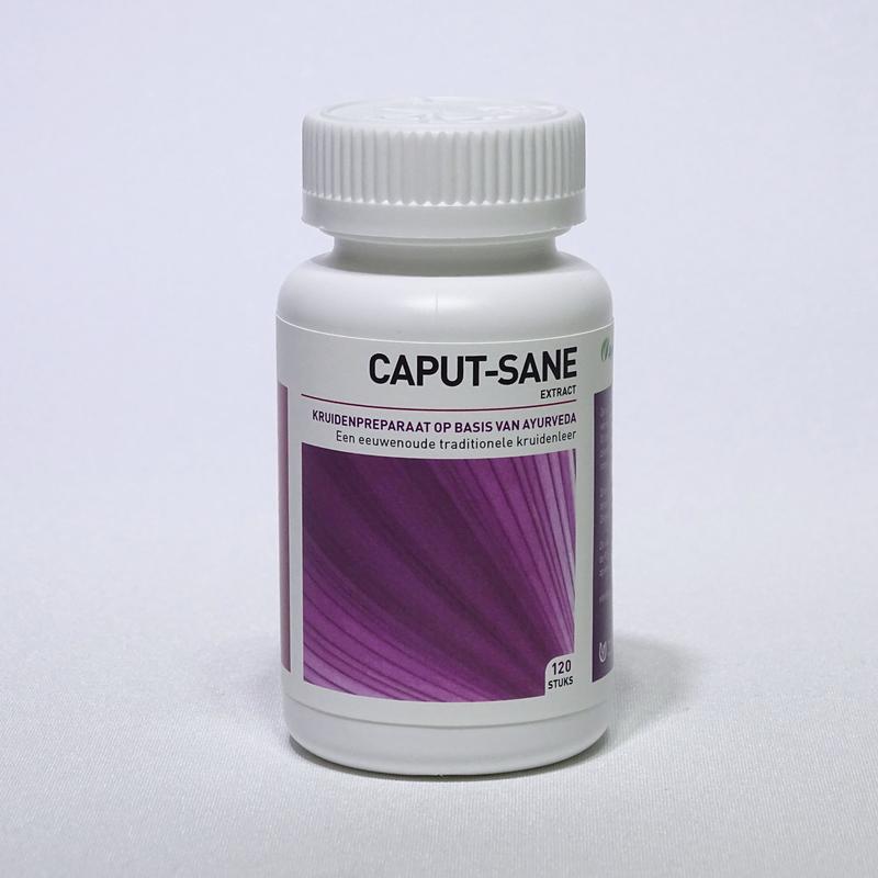 Ayurveda Health Caputsane 120.00 Tabletten