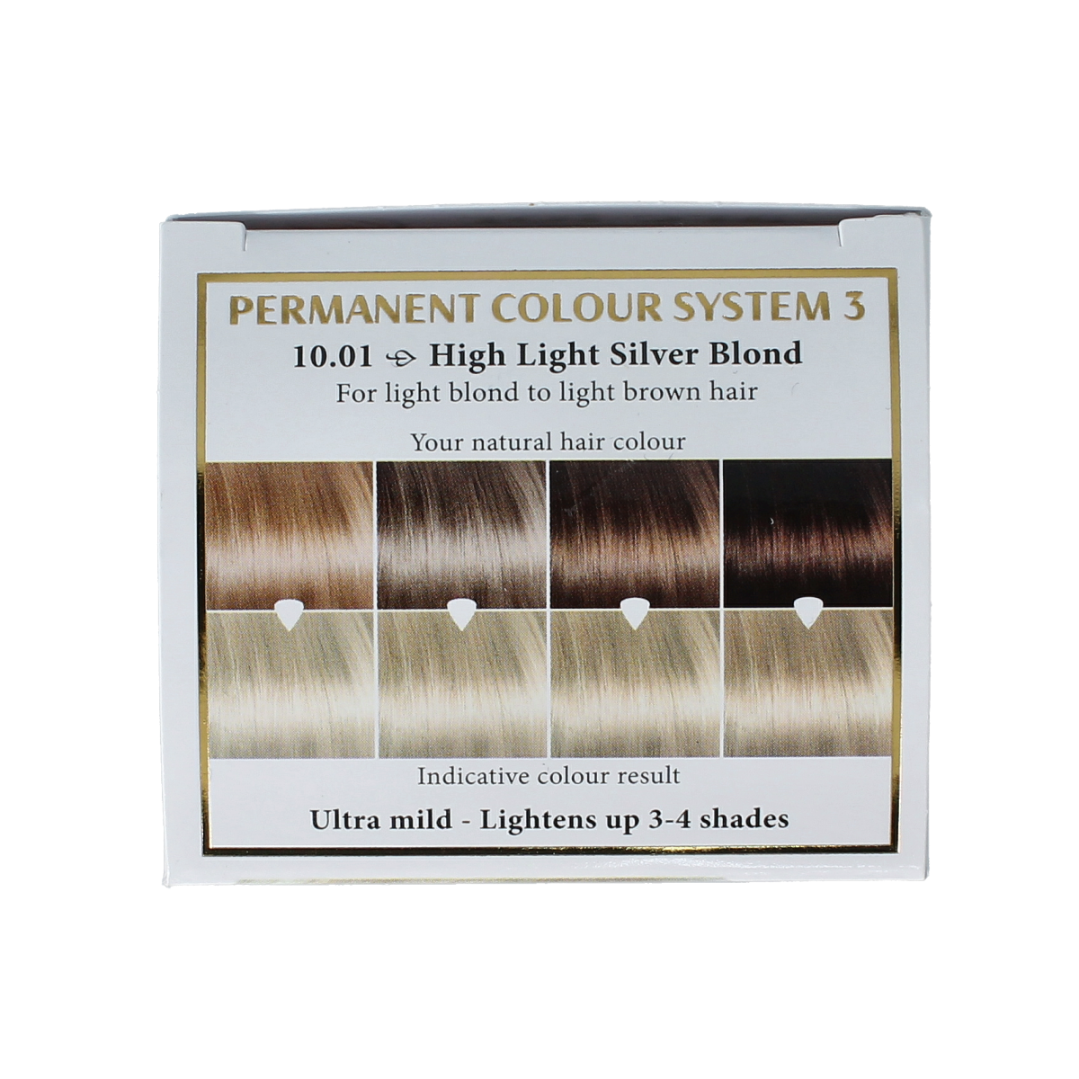 Henna Plus Long lasting colour 10.01 silver blond 100.00 Milliliter