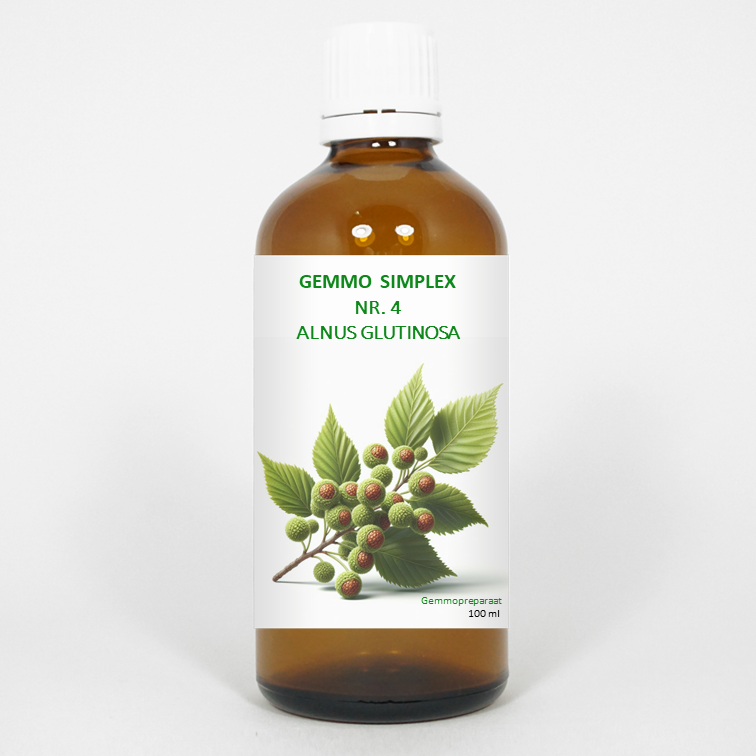Balancepharma Gemmo simplex 4 alnus glutinosa 100.00 Milliliter