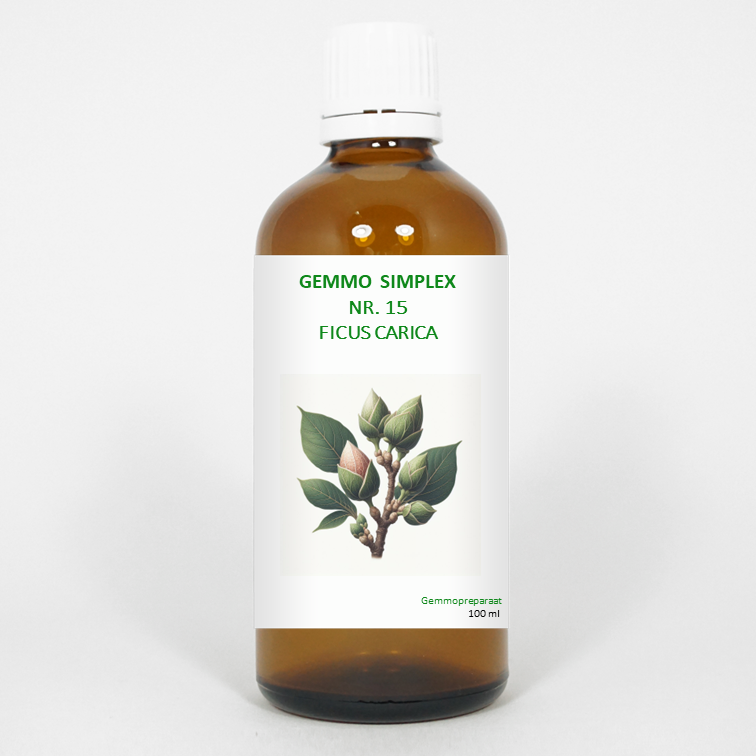 Balancepharma Gemmo simplex 15 ficus carica 100.00 Milliliter