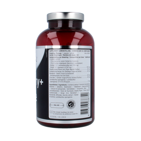 Lucovitaal Cranberry x-tra 480.00 Capsules