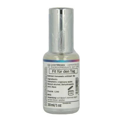 Lichtwesen Powertrain energie spray 30.00 Milliliter