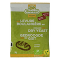 Bioreal Gist gedroogd bio 9 Gram