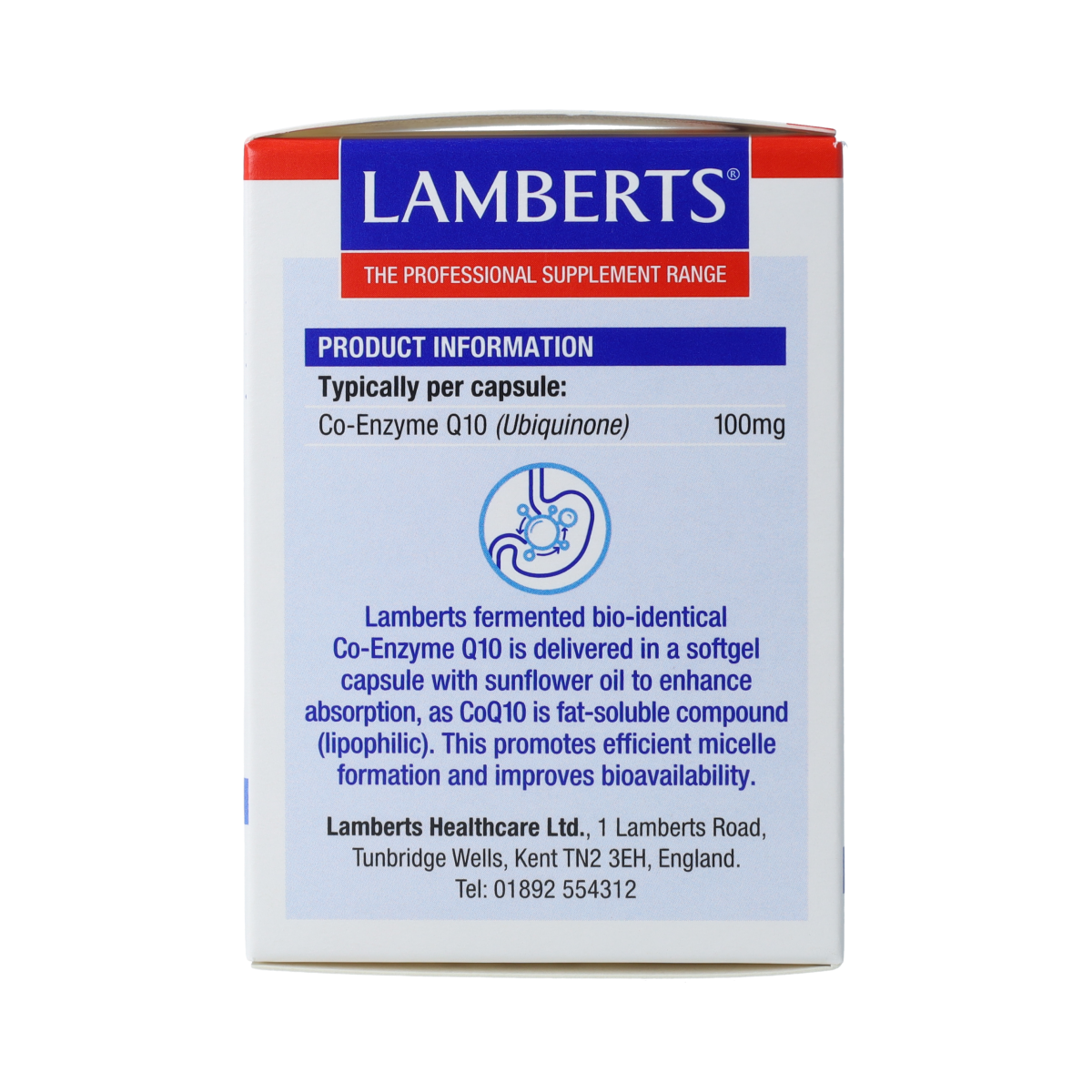 Lamberts Co enzym Q10 100mg 60.00 Capsules