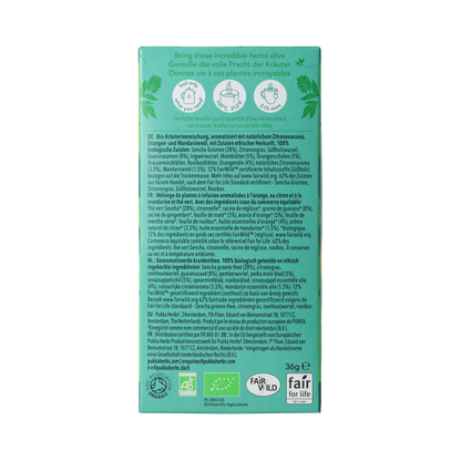 Pukka Citrus Yerba Green bio 20.00 Zakjes