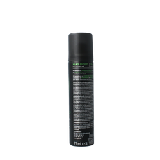 Syoss Hairspray max hold 75.00 Milliliter