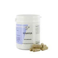 Holisan Renayur 100.00 Vegetarische capsules