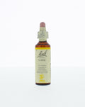 Bach Gorse/gaspeldoorn 20.00 Milliliter