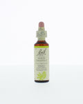Bach White chestnut/paardekastanje 20.00 Milliliter