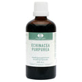 van der Pigge Echinacea purpurea 100.00 Milliliter