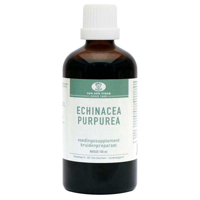 van der Pigge Echinacea purpurea 100.00 Milliliter