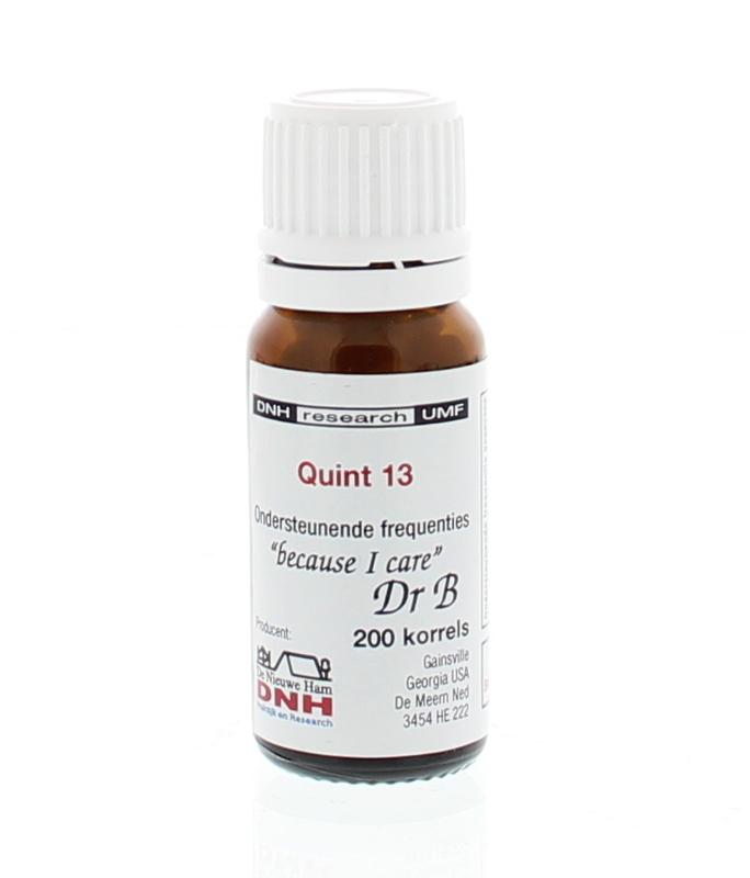 DNH Quint 13 BMYD 200.00 Stuks