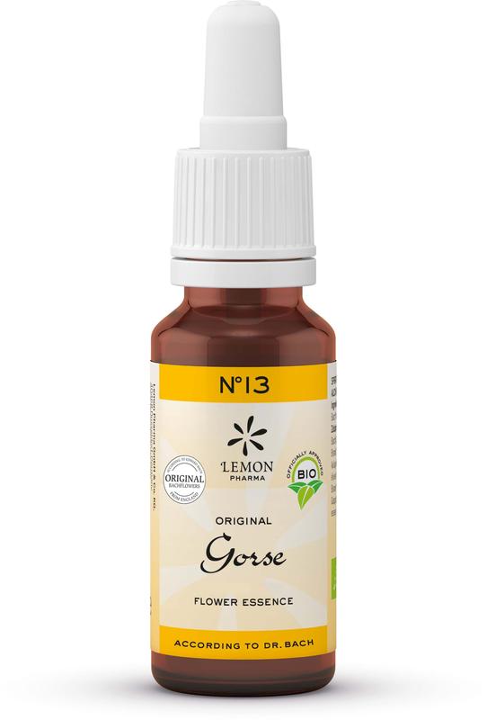 Bach Bloesem Gorse bio 20 Milliliter