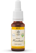 Bach Bloesem Hornbeam bio 20.00 Milliliter