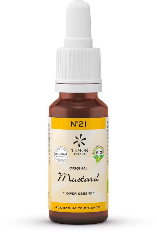 Bach Bloesem Mustard bio 20.00 Milliliter
