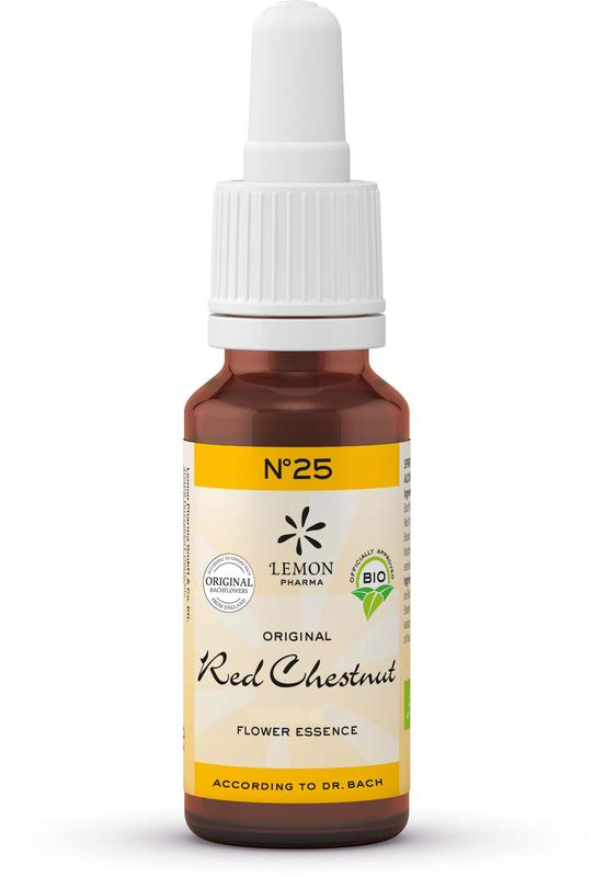 Bach Bloesem Bach bloesemremedies red chestnut bio 20 Milliliter