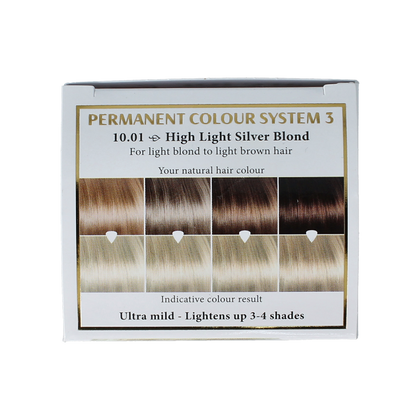 Henna Plus Long lasting colour 10.01 silver blond 100.00 Milliliter