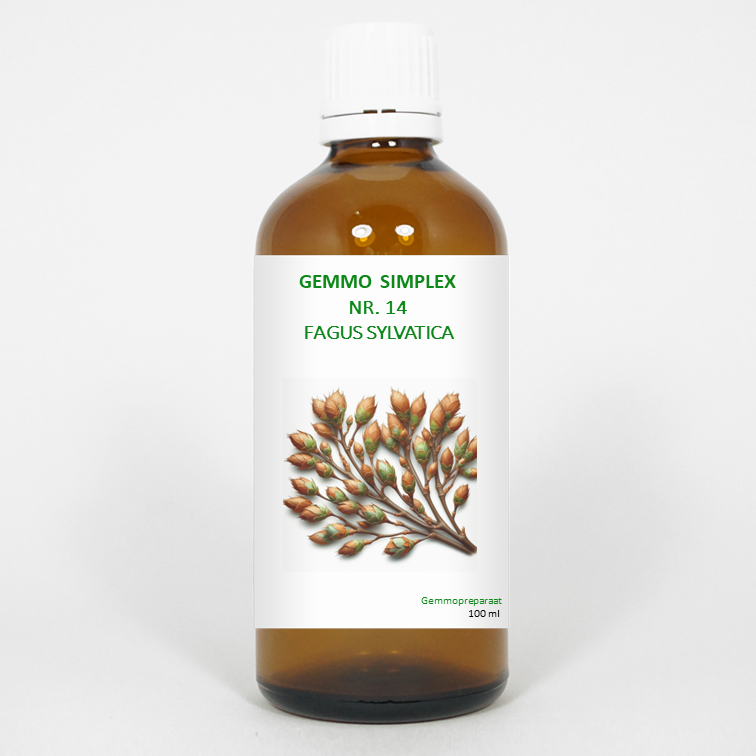Balancepharma Gemmo simplex 14 fagus sylvatica 100.00 Milliliter