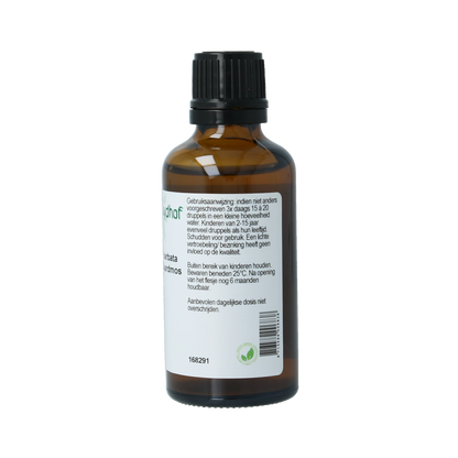 Cruydhof Usnea barbata / baardmos tinctuur 50.00 Milliliter