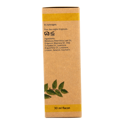 Aromed Ferula kalknagel olie 30.00 Milliliter
