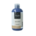 Volatile Massageolie eucalyptus (Oslo) 250.00 Milliliter