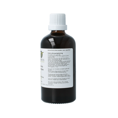 Groene Os Cynara complex paard/pony 100 Milliliter