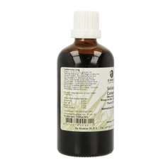 Groene Os Solidago complex paard/pony 100.00 Milliliter