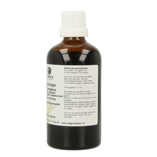 Groene Os Solidago complex paard/pony 100.00 Milliliter
