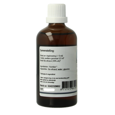 GO Corylus avellana 100 Milliliter