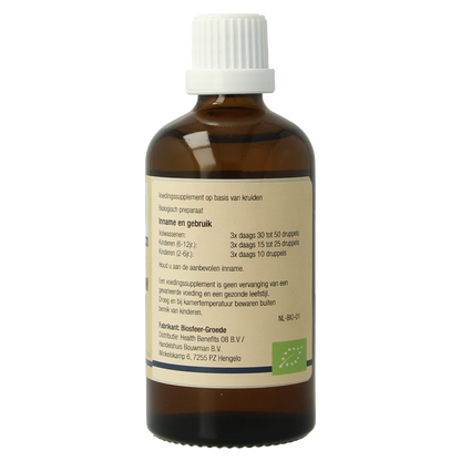 GO Ribes nigrum bio 100.00 Milliliter
