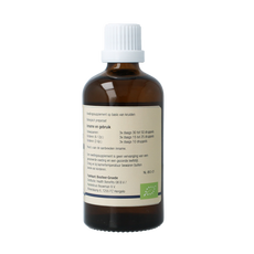 GO Ligustrum vulgare bio 100.00 Milliliter