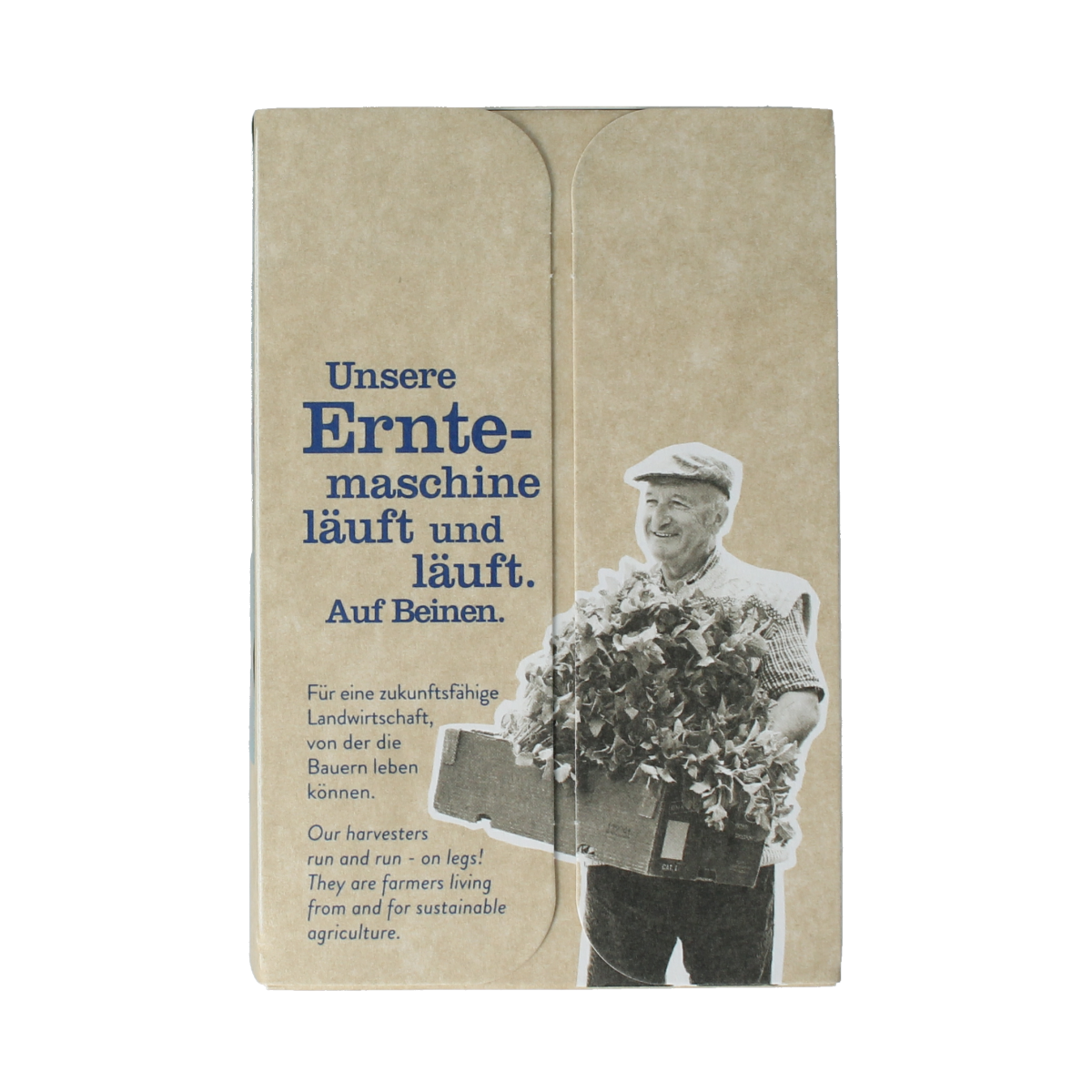 Sonnentor Spicy chai thee bio 18.00 Zakjes