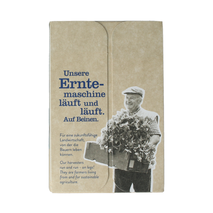 Sonnentor Spicy chai thee bio 18.00 Zakjes