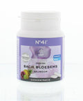 Bach Bloesem Kauwgom nr. 41 concentratie 60.00 Gram