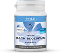 Bach Bloesem Kauwgom nr. 42 vertrouwen 60.00 Gram